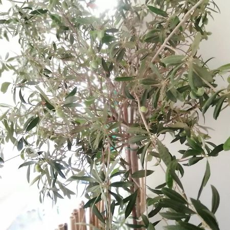 Athens City Center Cozy Apartment Ngoại thất bức ảnh